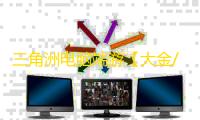 三角洲电脑端游【大金/透饰/梓喵/物资/支持解密/过玄武磐石/支持国际服+国服】辅助